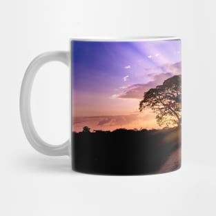 beautiful sunset in Venezuela Mug